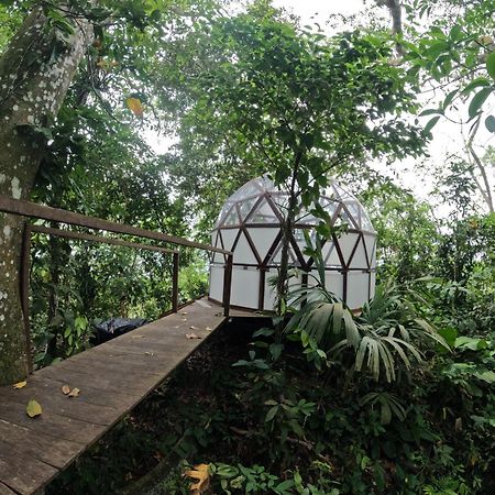 Taorayina Nature Lodge- Immersed In The Forest El Zaino Bagian luar foto