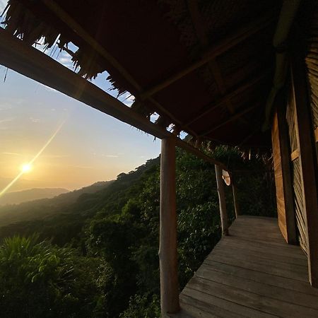 Taorayina Nature Lodge- Immersed In The Forest El Zaino Bagian luar foto