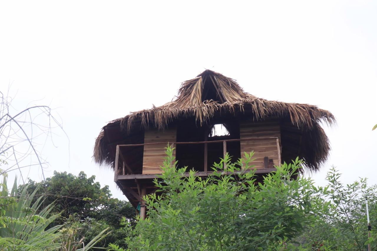 Taorayina Nature Lodge- Immersed In The Forest El Zaino Bagian luar foto