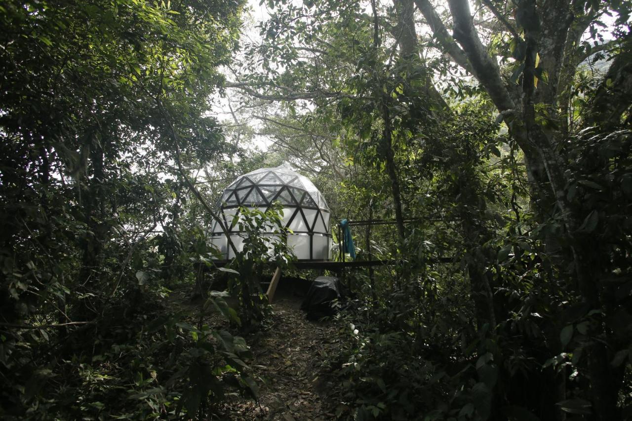 Taorayina Nature Lodge- Immersed In The Forest El Zaino Bagian luar foto