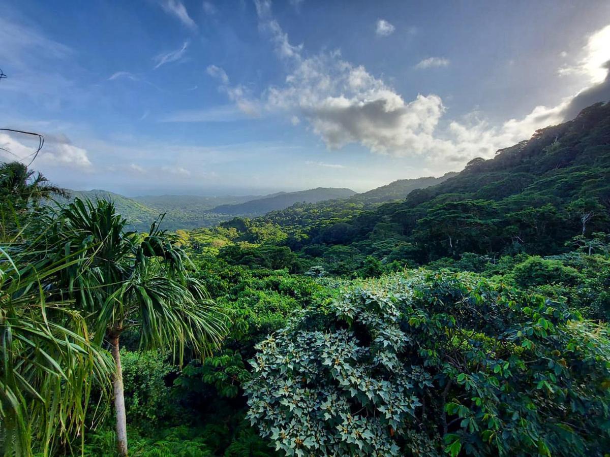 Taorayina Nature Lodge- Immersed In The Forest El Zaino Bagian luar foto
