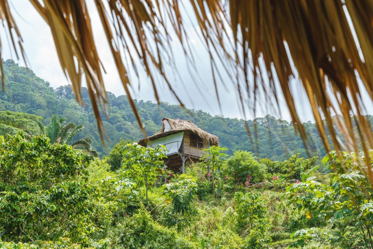 Taorayina Nature Lodge- Immersed In The Forest El Zaino Bagian luar foto