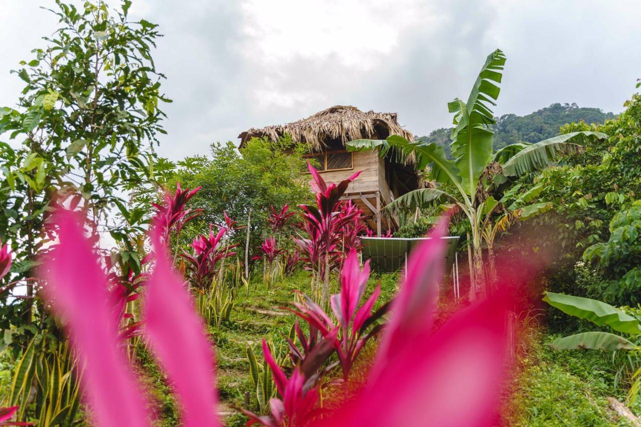 Taorayina Nature Lodge- Immersed In The Forest El Zaino Bagian luar foto