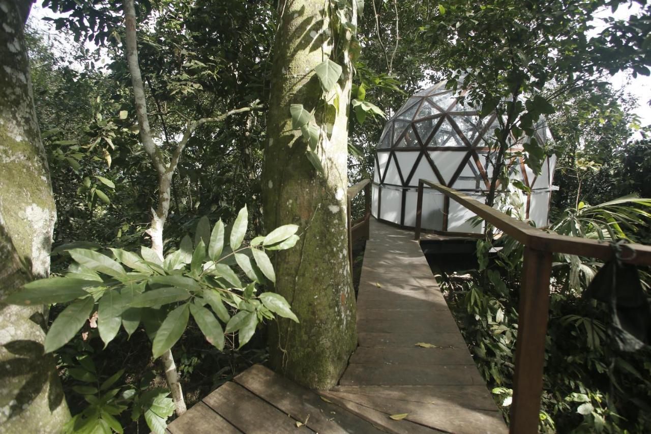 Taorayina Nature Lodge- Immersed In The Forest El Zaino Bagian luar foto