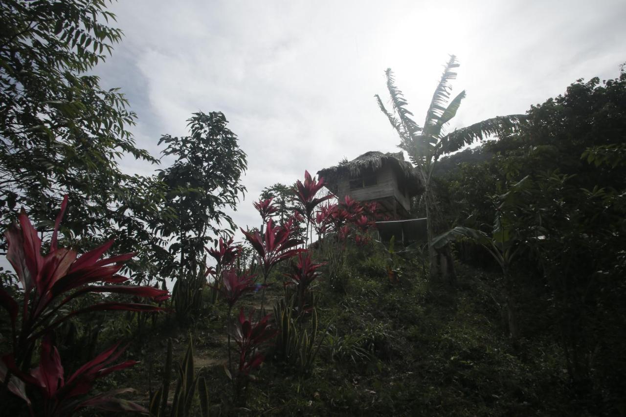 Taorayina Nature Lodge- Immersed In The Forest El Zaino Bagian luar foto