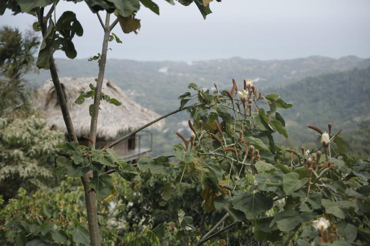 Taorayina Nature Lodge- Immersed In The Forest El Zaino Bagian luar foto