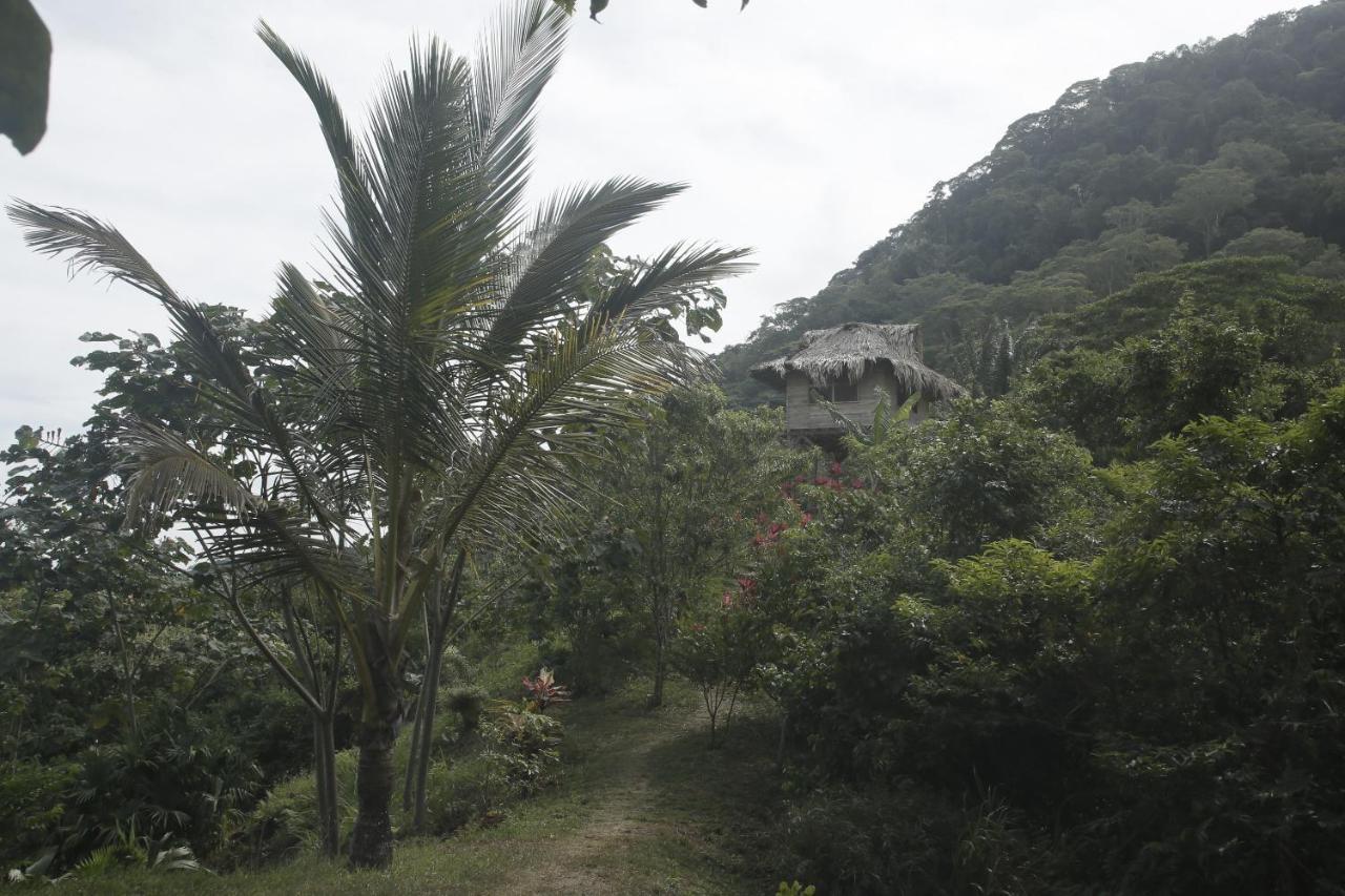 Taorayina Nature Lodge- Immersed In The Forest El Zaino Bagian luar foto