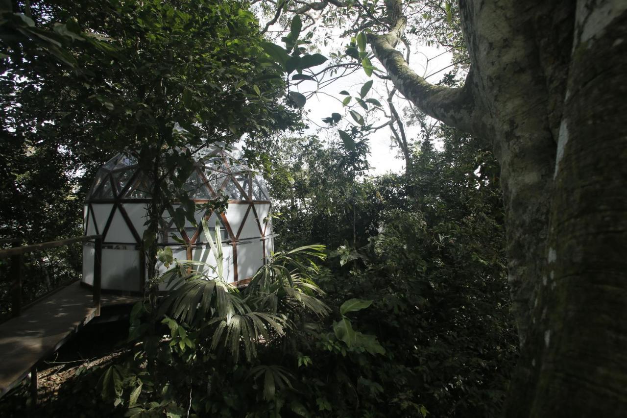 Taorayina Nature Lodge- Immersed In The Forest El Zaino Bagian luar foto