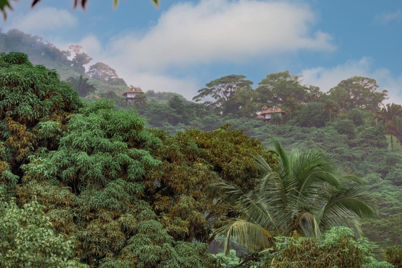 Taorayina Nature Lodge- Immersed In The Forest El Zaino Bagian luar foto