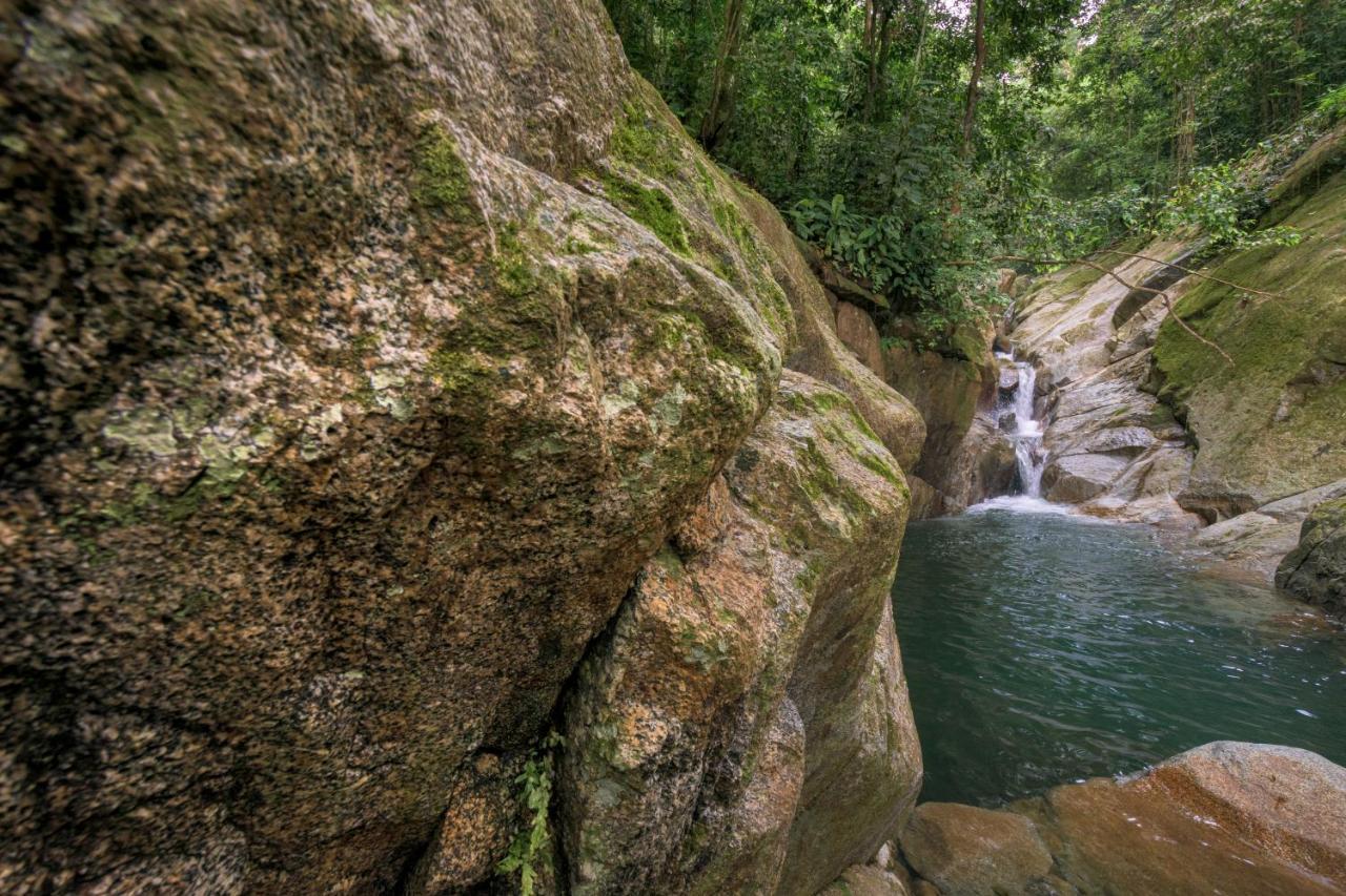 Taorayina Nature Lodge- Immersed In The Forest El Zaino Bagian luar foto
