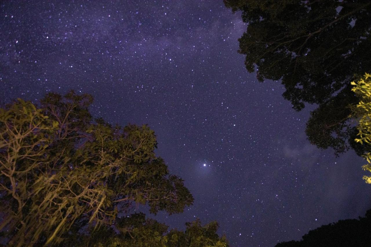 Taorayina Nature Lodge- Immersed In The Forest El Zaino Bagian luar foto