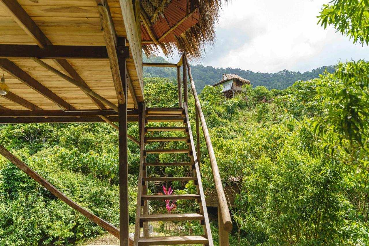 Taorayina Nature Lodge- Immersed In The Forest El Zaino Bagian luar foto