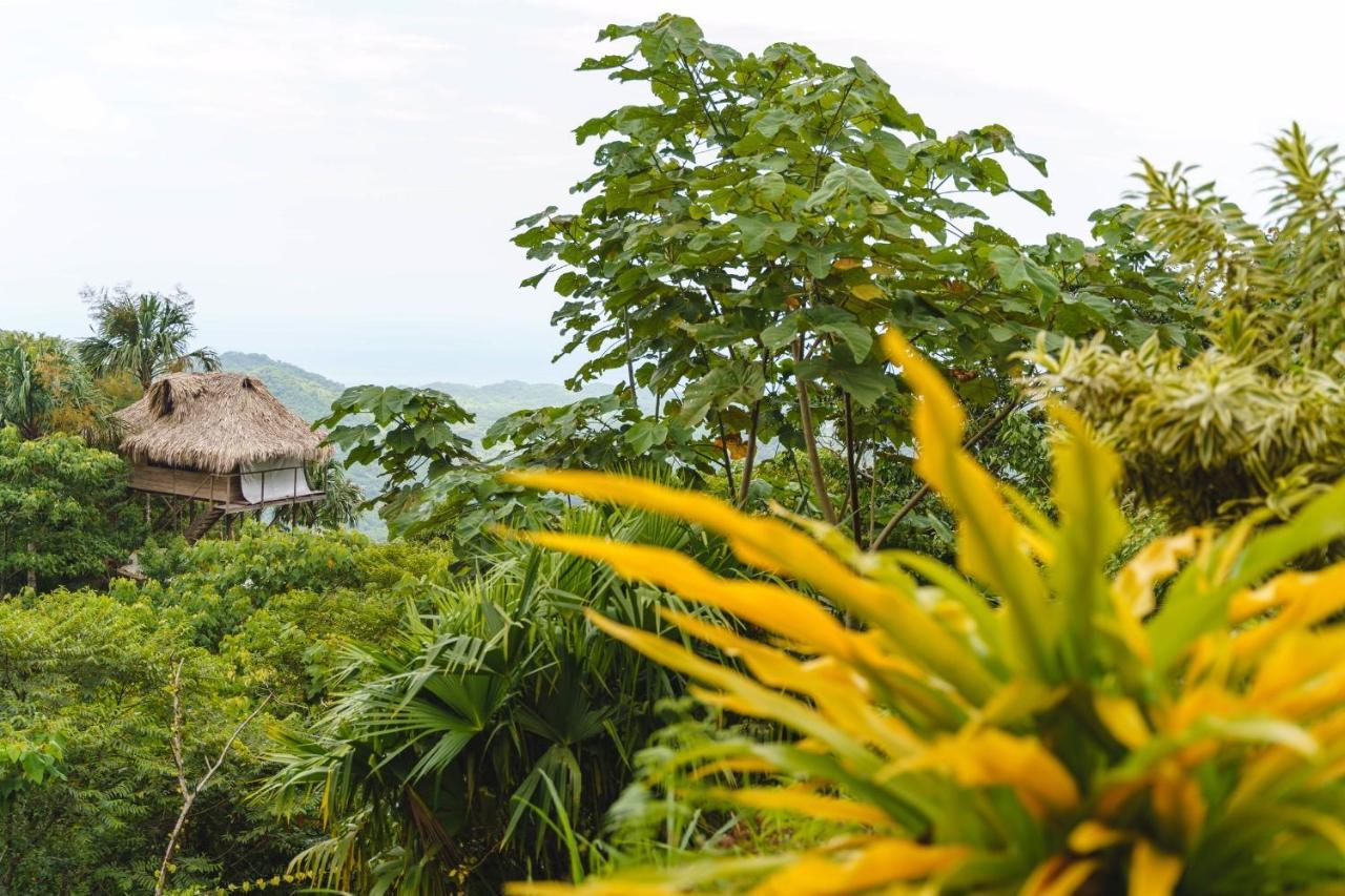 Taorayina Nature Lodge- Immersed In The Forest El Zaino Bagian luar foto