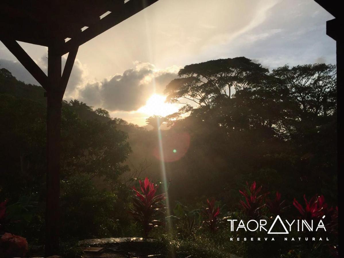 Taorayina Nature Lodge- Immersed In The Forest El Zaino Bagian luar foto