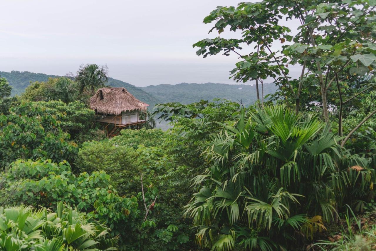 Taorayina Nature Lodge- Immersed In The Forest El Zaino Bagian luar foto