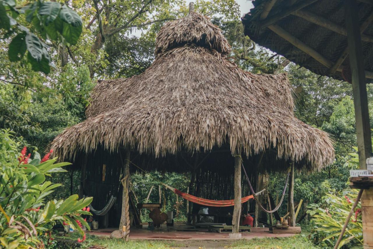 Taorayina Nature Lodge- Immersed In The Forest El Zaino Bagian luar foto
