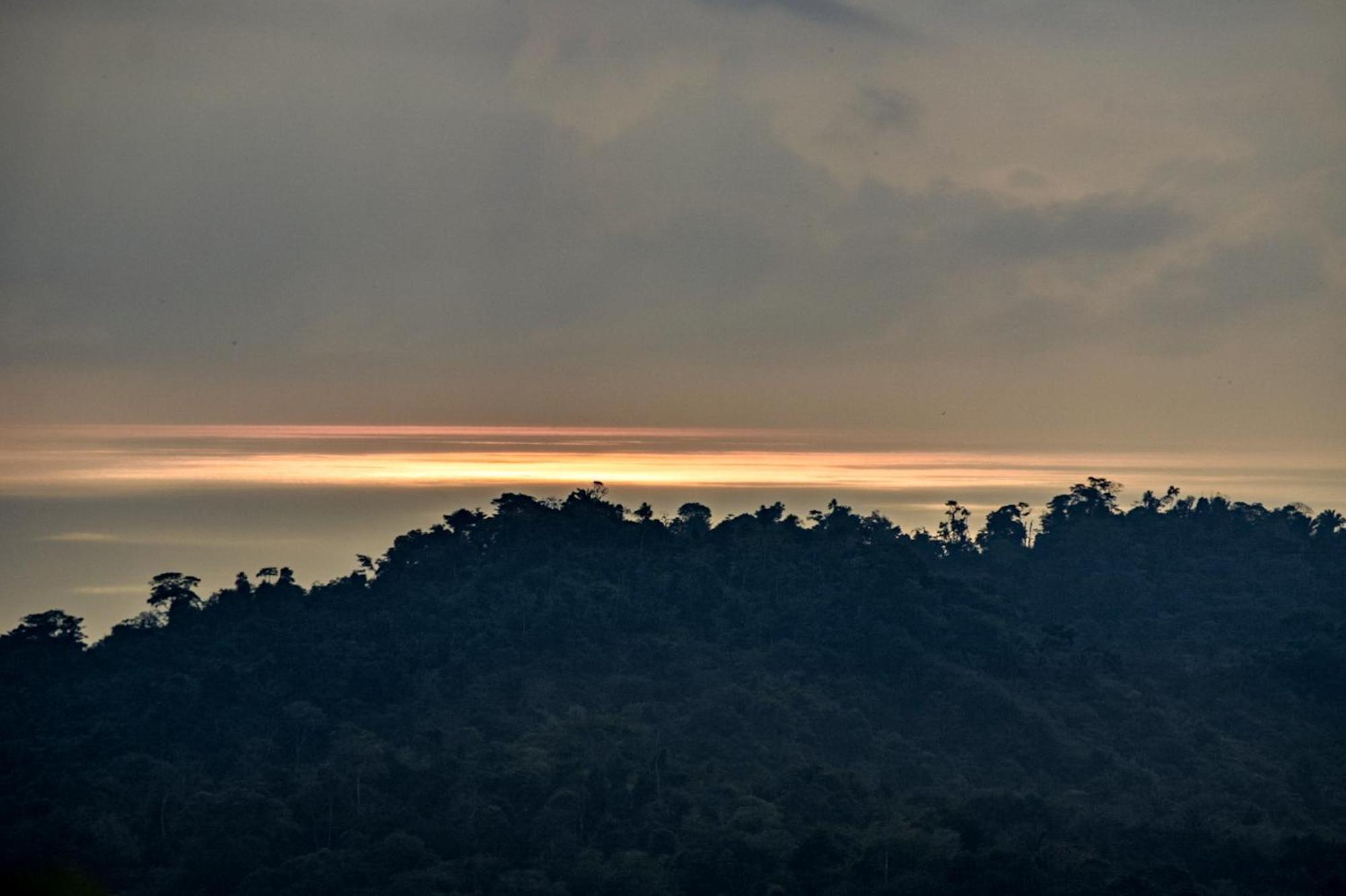 Taorayina Nature Lodge- Immersed In The Forest El Zaino Bagian luar foto