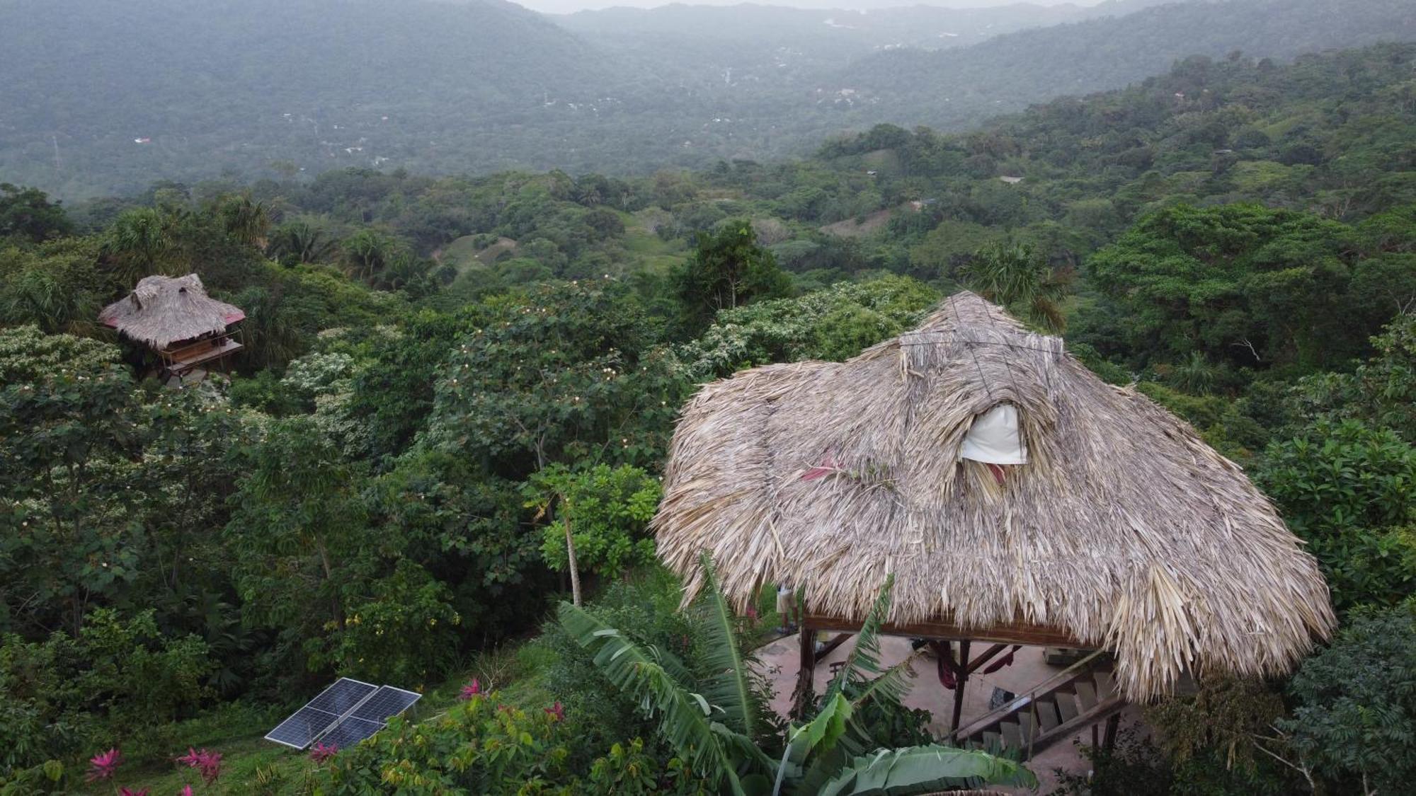 Taorayina Nature Lodge- Immersed In The Forest El Zaino Bagian luar foto