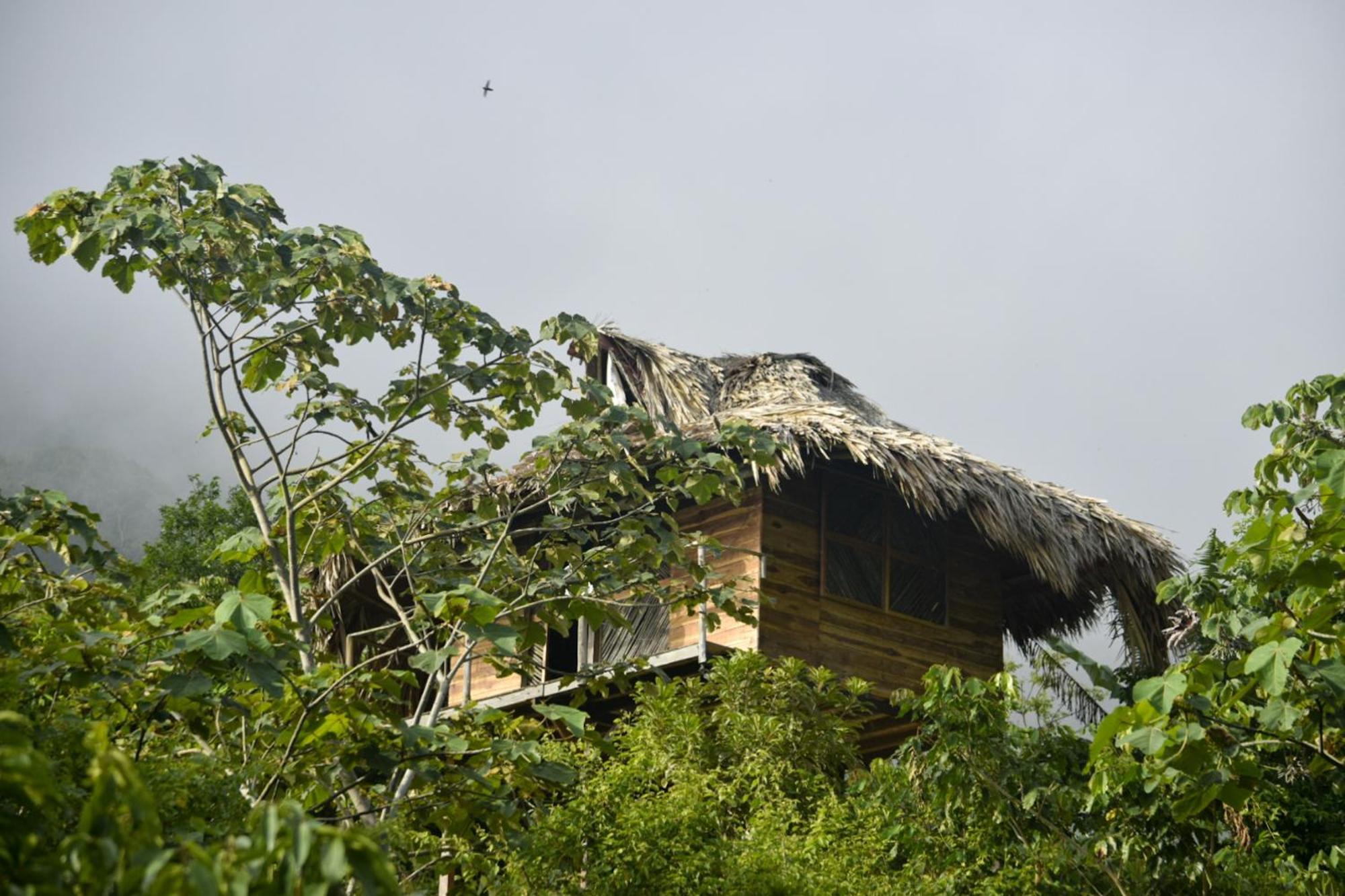 Taorayina Nature Lodge- Immersed In The Forest El Zaino Bagian luar foto