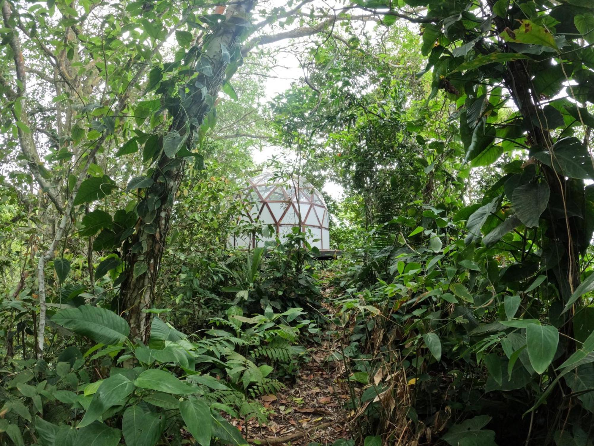 Taorayina Nature Lodge- Immersed In The Forest El Zaino Bagian luar foto