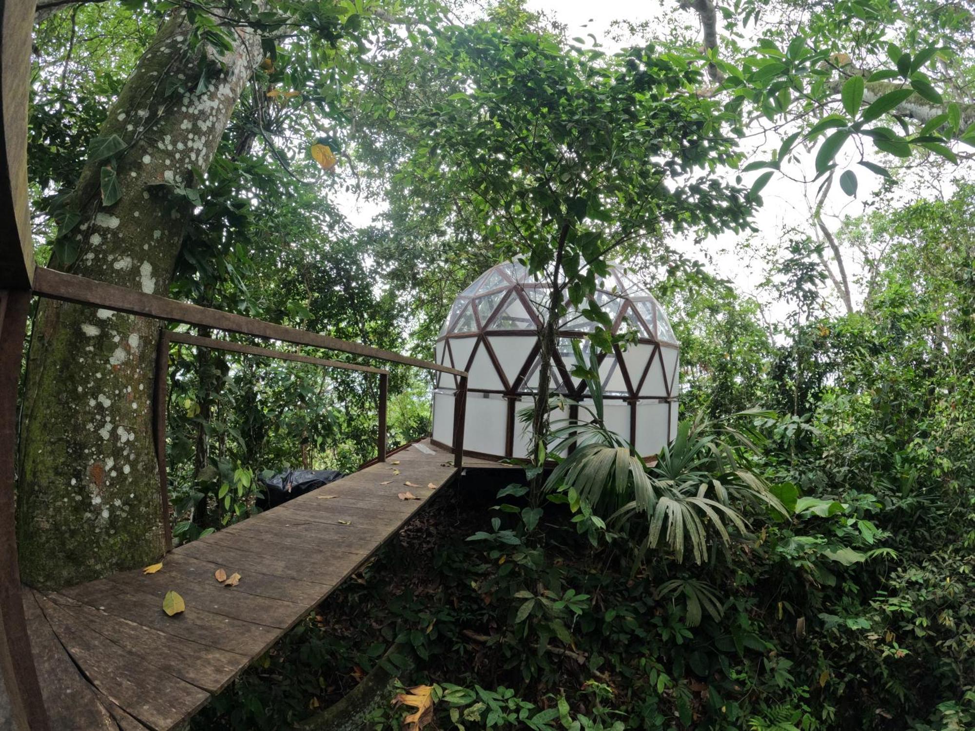 Taorayina Nature Lodge- Immersed In The Forest El Zaino Bagian luar foto