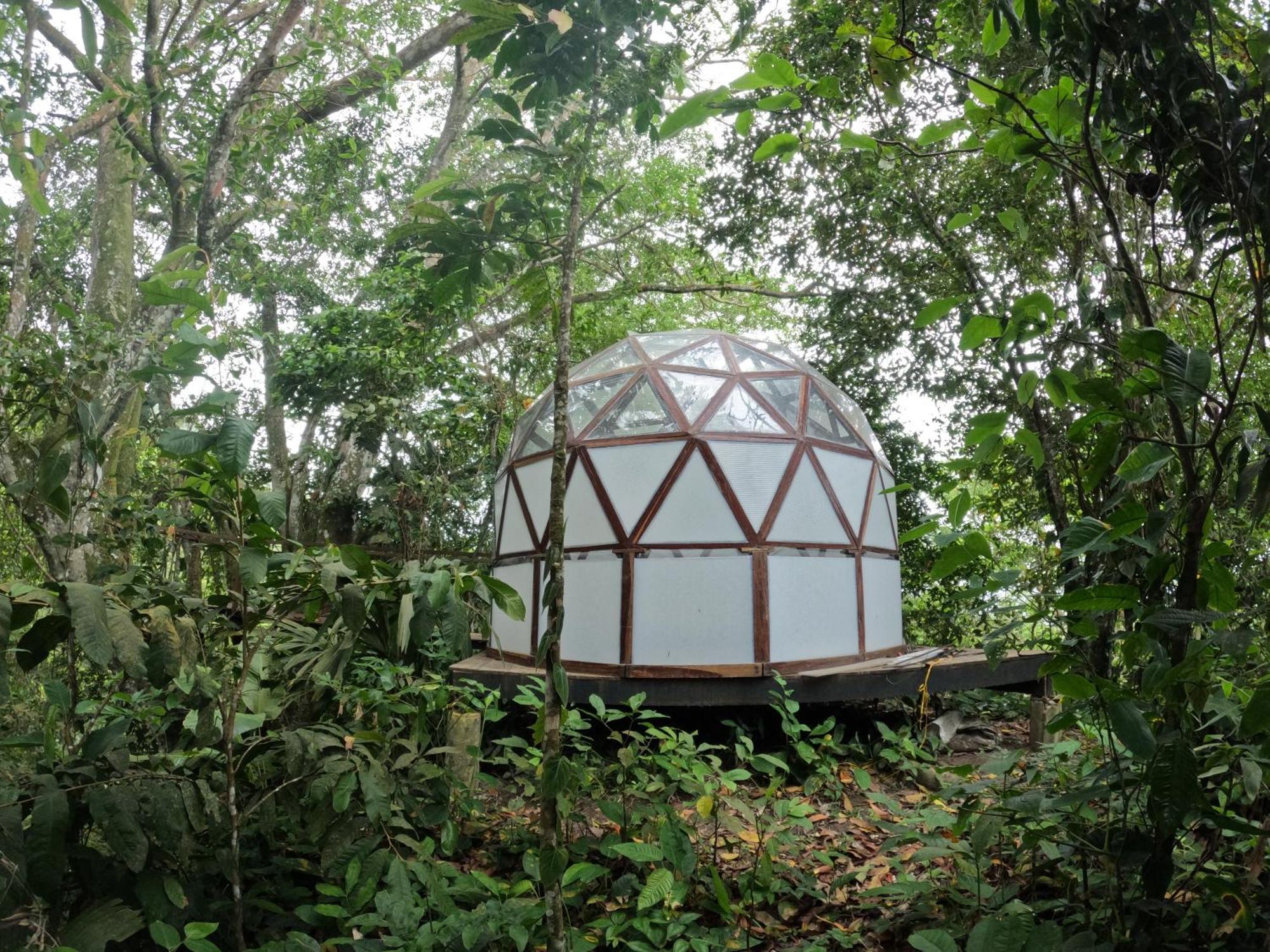 Taorayina Nature Lodge- Immersed In The Forest El Zaino Bagian luar foto