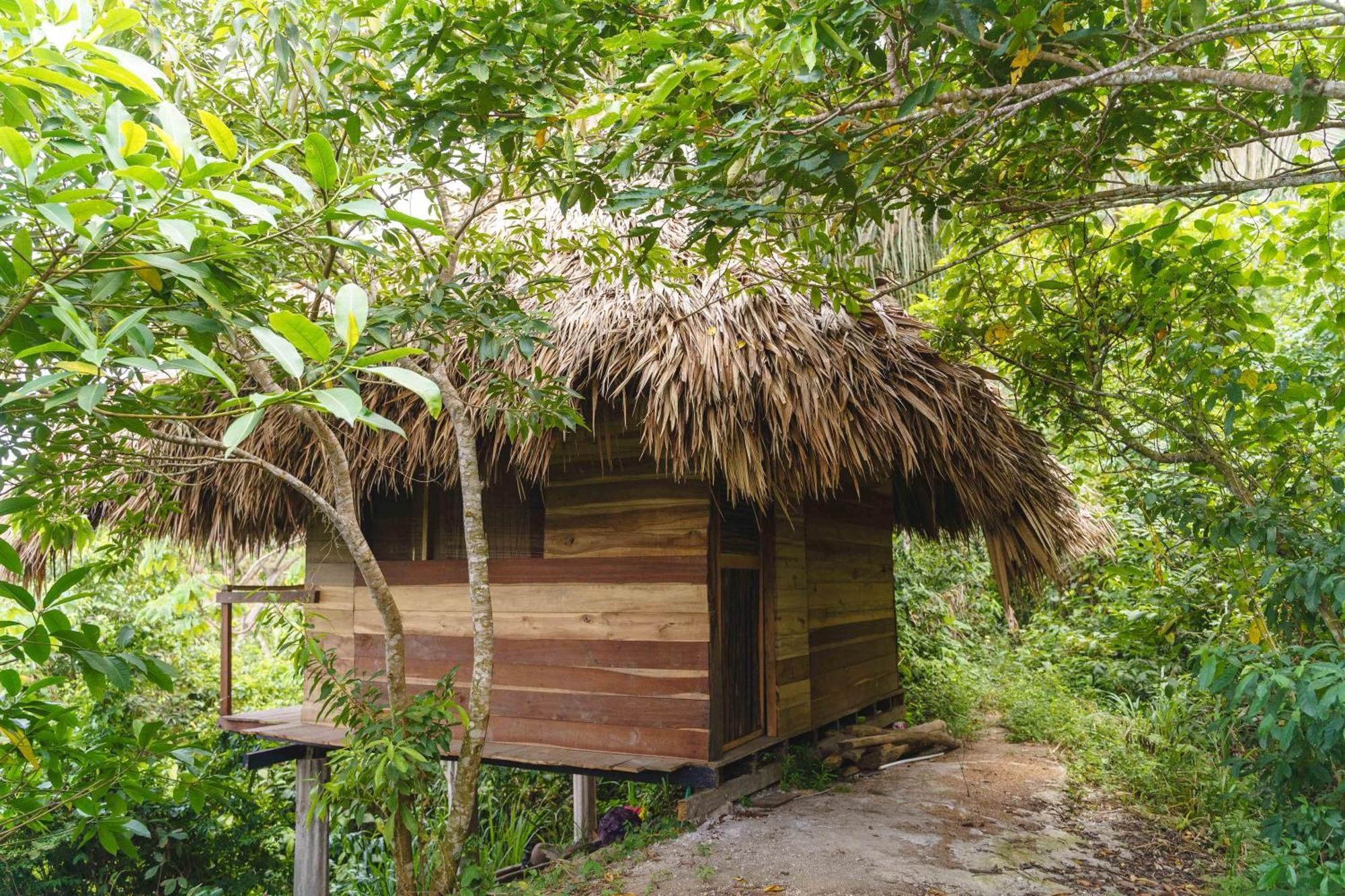 Taorayina Nature Lodge- Immersed In The Forest El Zaino Bagian luar foto