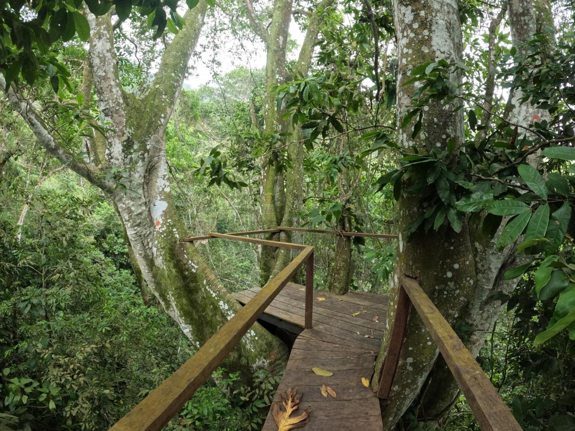 Taorayina Nature Lodge- Immersed In The Forest El Zaino Bagian luar foto