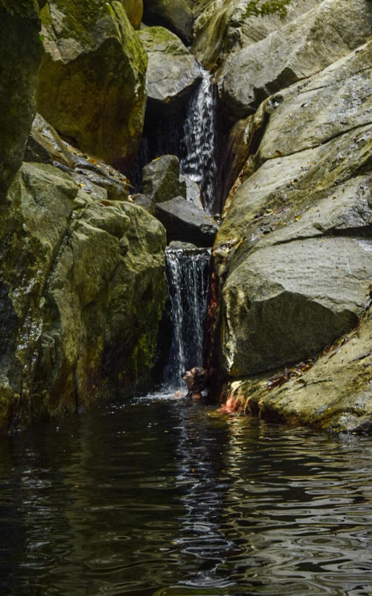 Taorayina Nature Lodge- Immersed In The Forest El Zaino Bagian luar foto