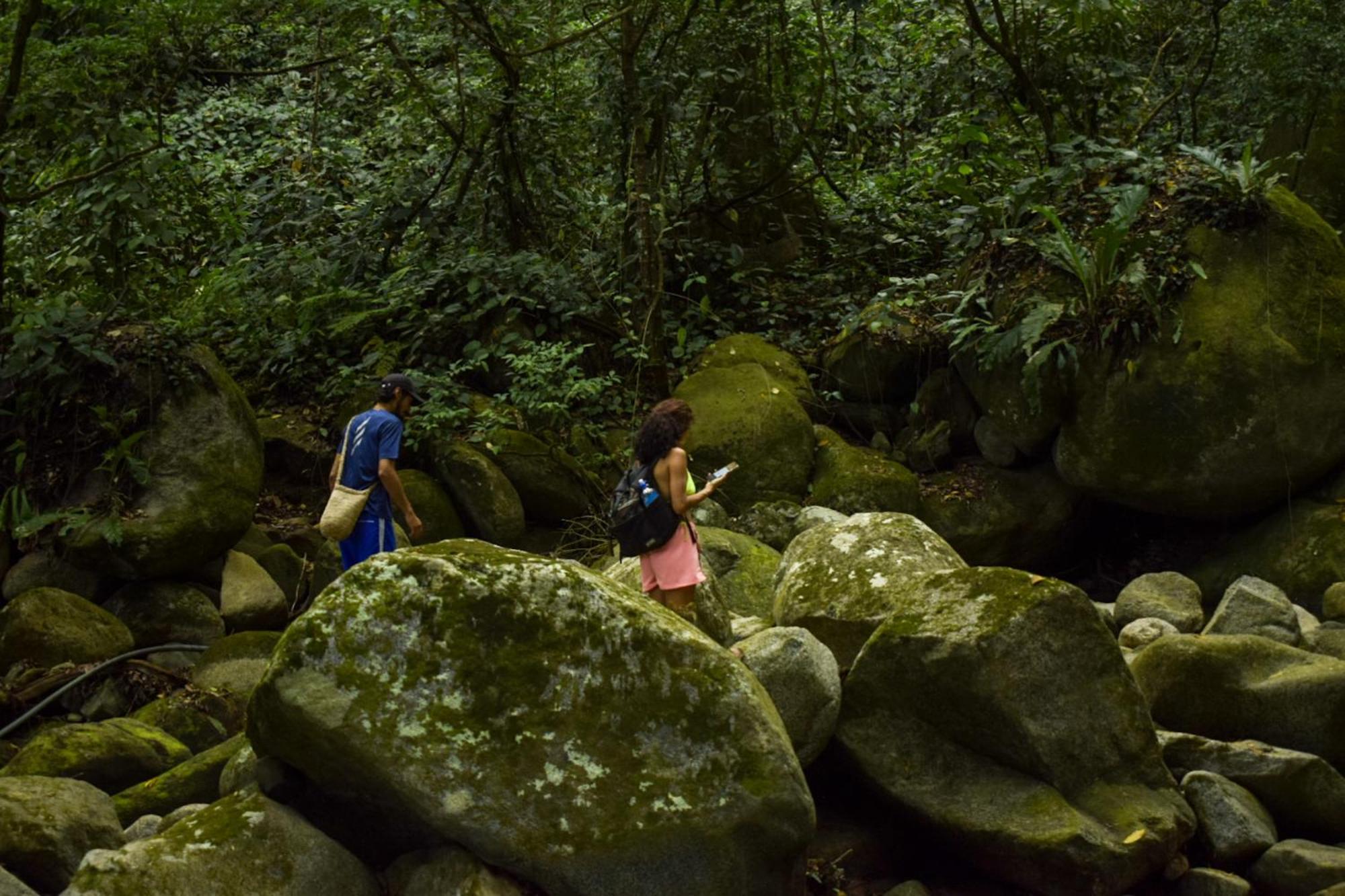 Taorayina Nature Lodge- Immersed In The Forest El Zaino Bagian luar foto