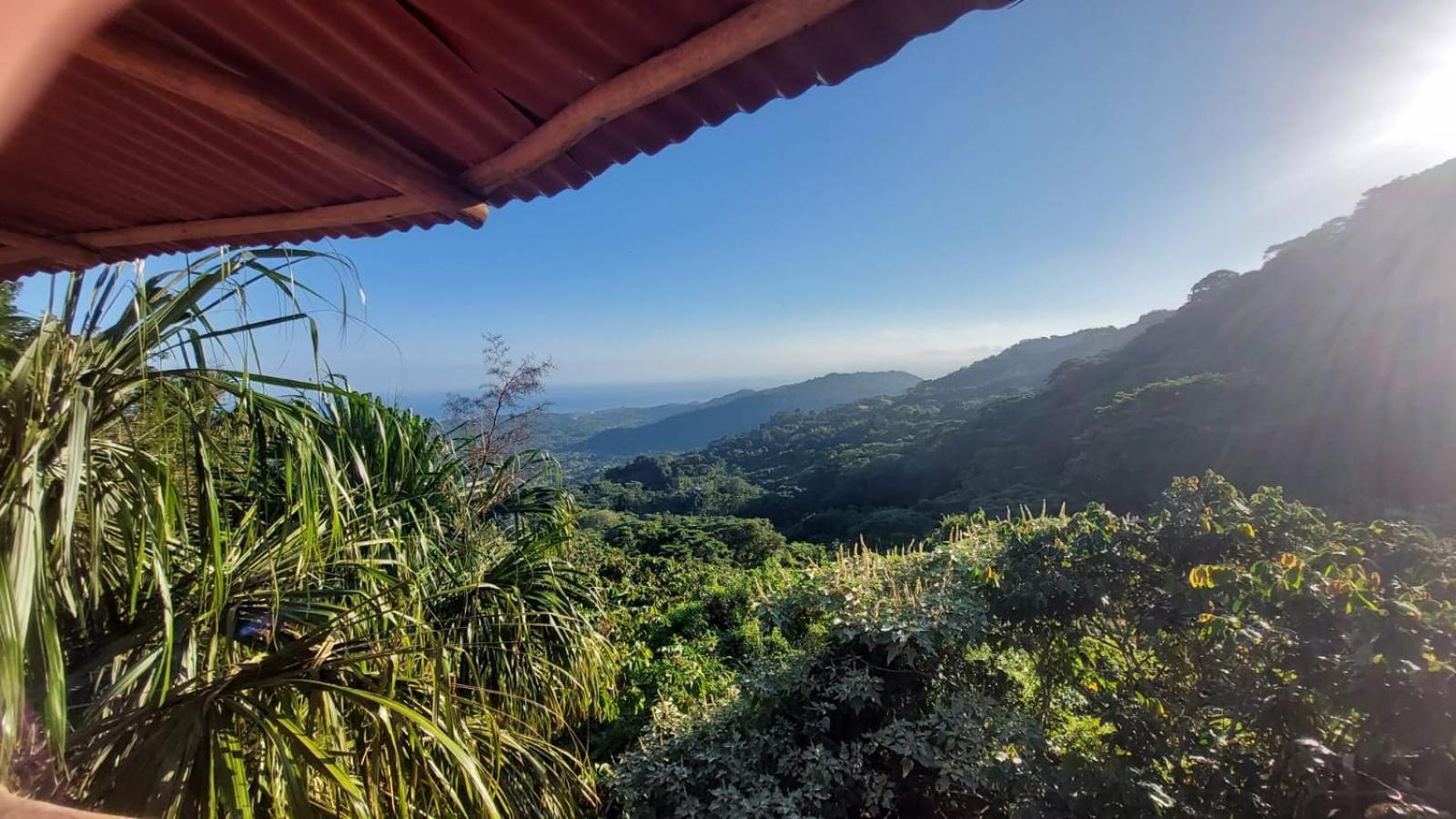 Taorayina Nature Lodge- Immersed In The Forest El Zaino Bagian luar foto