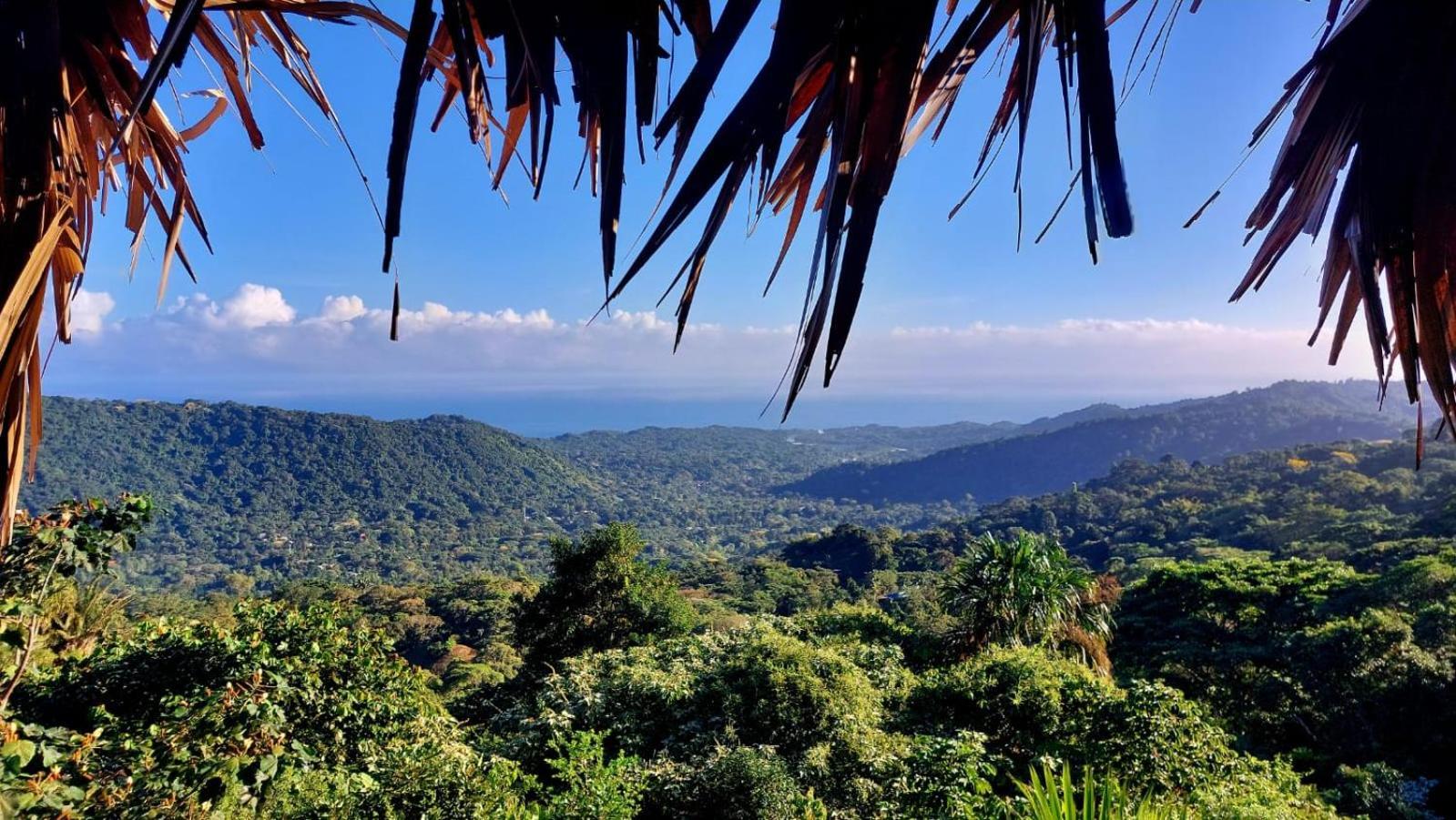 Taorayina Nature Lodge- Immersed In The Forest El Zaino Bagian luar foto