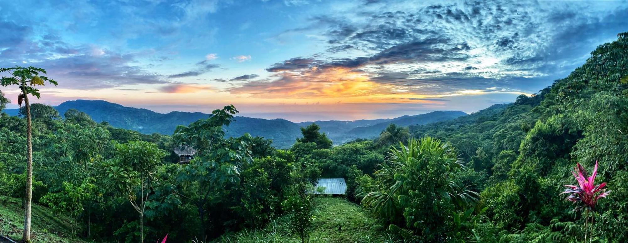 Taorayina Nature Lodge- Immersed In The Forest El Zaino Bagian luar foto